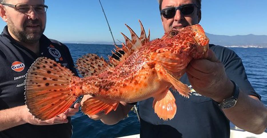 Practicando la pesca de fondo en Marbella
