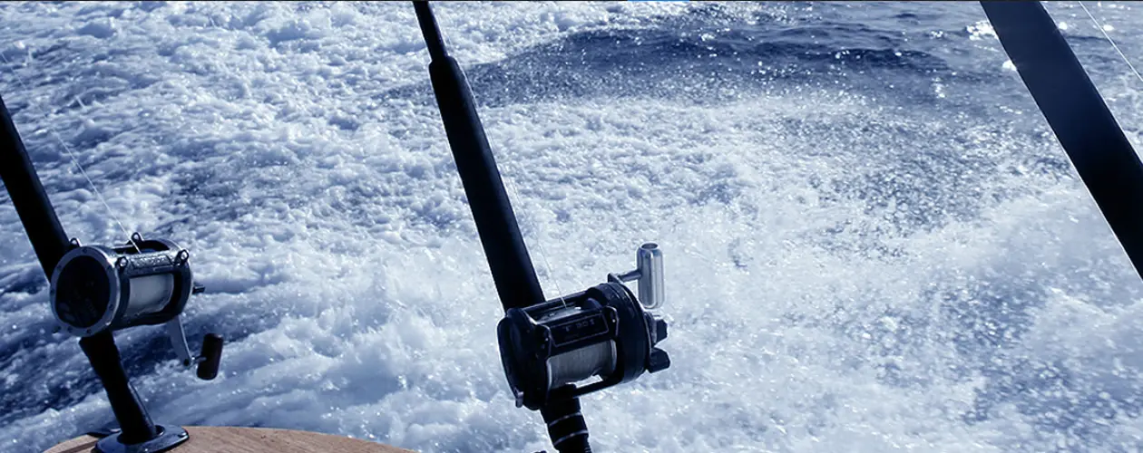 Barcos de pesca para alquilar en Banus